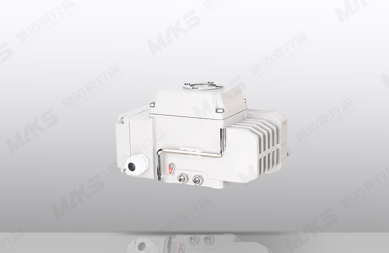 精小型電動執(zhí)行器